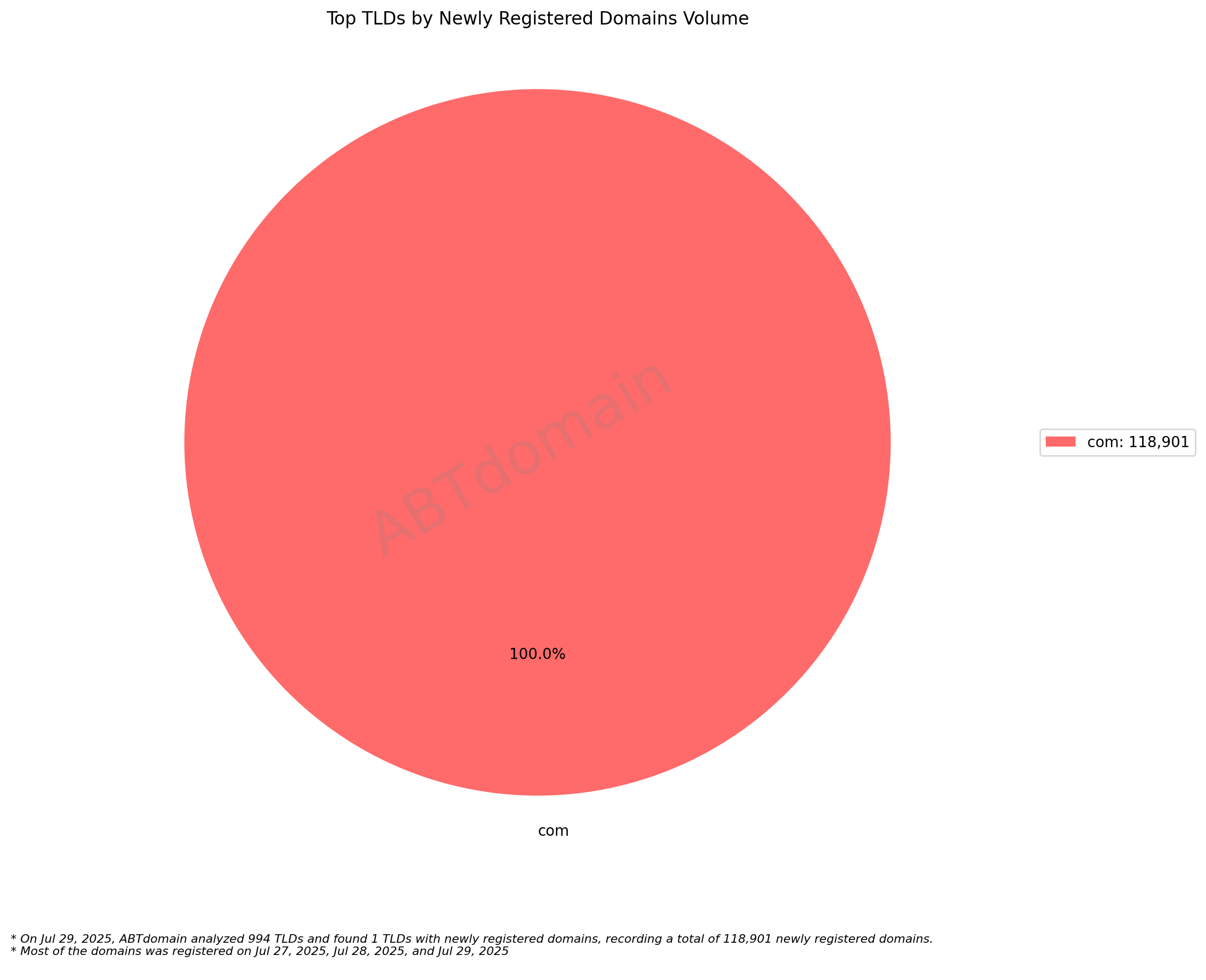 Top TLDs by Newly Registered Domains Volume: pie chart showing .com dominates with 118,901 domains (100%) according to ABTdomain analysis. 2025-07-29.