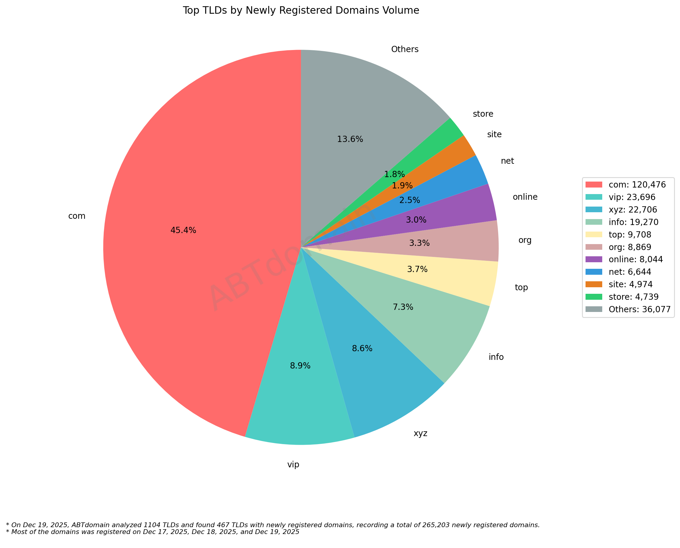 Top TLDs by Newly Registered Domains Volume饼状图,展示2025年12月19日各类域名注册量分布。